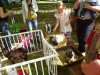 mini_ferme_animaux.jpg